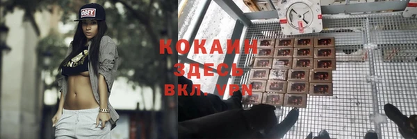 соль ск Богородицк