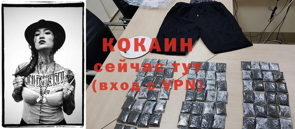 твердый Богданович